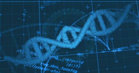 DNA strand and scientific data processing animation over blue grid background - Powered by Adobe