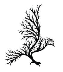 The symbol of bird of prey in the autumn forest.
