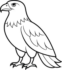 Eagle line art vector illustration isolated drawing