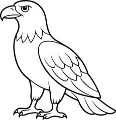 Eagle line art vector illustration falcon symbol art