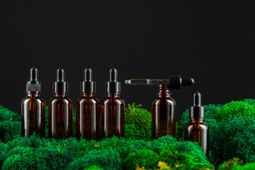 Dark glass bottles arranged in row on green moss against a black background