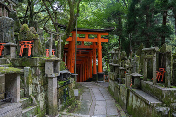 Naklejka premium 京都 伏見稲荷大社