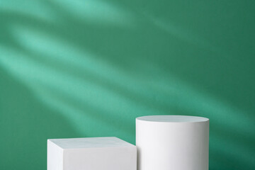 Simple geometric shapes on a green background with soft lighting