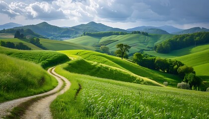 Obraz premium Dirt road through green fields