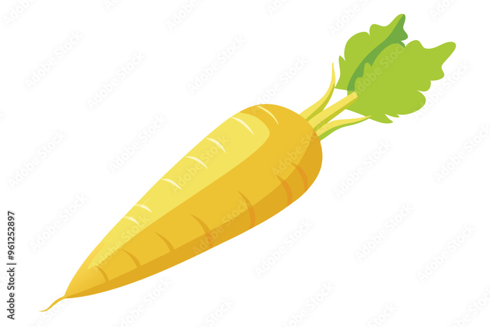 Wall mural Parsnip vector illustration isolated in white background