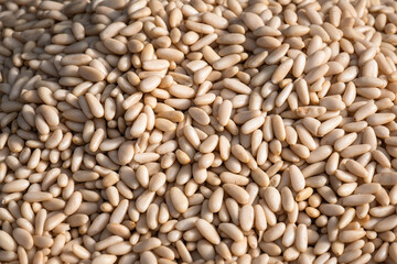Peeled pine nuts heap. spice seller.