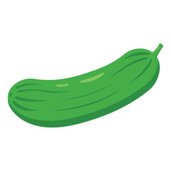 Green cucumber vector illustration isolated on a white background