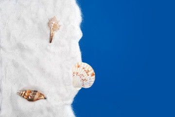 Seashell on sand isolated on blue background, vacation concept, copy space