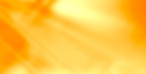Autumn backgrund summer yellow overlay abstract summer sun shadow leaf white gradient color blur...