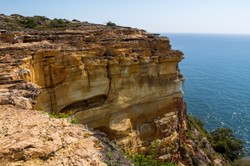 Cliff Landscape Background
