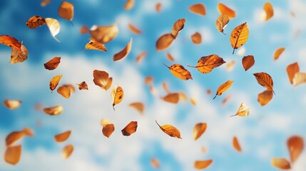 autumn leaves happily levitating in a windy blue sky. Fall concept
