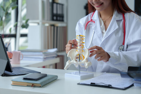 Happy and professional doctor showing anatomical model of human spine at clinic Concept of woman in white medical gown and stethoscope Health concept, treatment, health insurance.