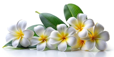 Selbstklebende Fototapeten Asymmetrical frangipani plumeria white flowers on white background © methinee