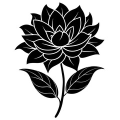 illustration of a flower