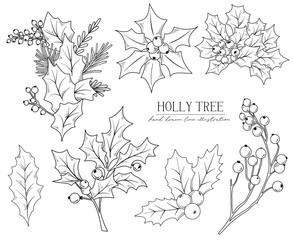 Line drawing Christmas Holly tree branches, bouquets and floral arrangements, hand drawn vector line art illustration