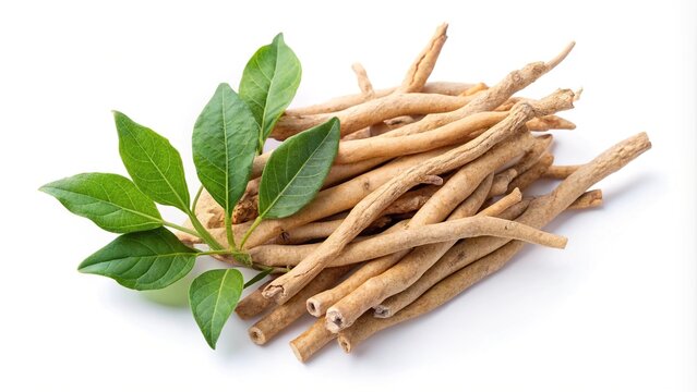 Ashwagandha root and powder close-up