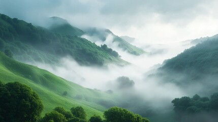 Mysterious Misty Valley, a captivating landscape where dense fog envelops rolling hills, creating an air of intrigue and inviting exploration of hidden secrets.