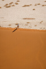 A lone person walks along the edge of a towering sand dune at Sossusvlei, Namibia.