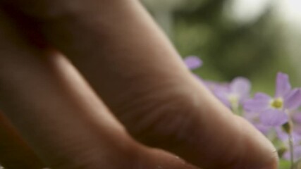 A hand gently touches delicate purple flowers covered in dew