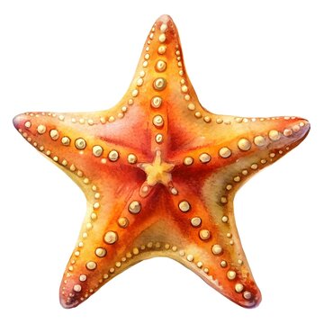 recommend clip art: red starfish isolated on white