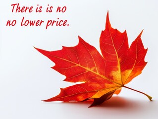  red maple leaf with the inscription, slogan “there is no lower price” on a white background