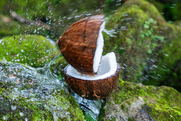 Split inner coconut fruit on stone