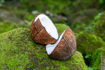Split inner coconut fruit on stone
