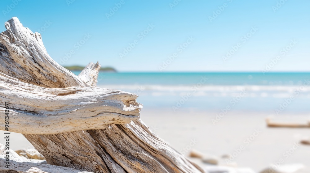 Wall mural weathered driftwood on sandy beach with ocean background