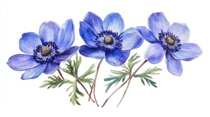 Captivating Watercolor Anemones: A Celebration of Blue Floral Beauty