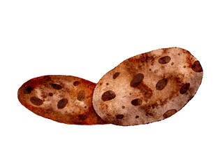 Watercolor cookie with chocolate, vector cut out from white background