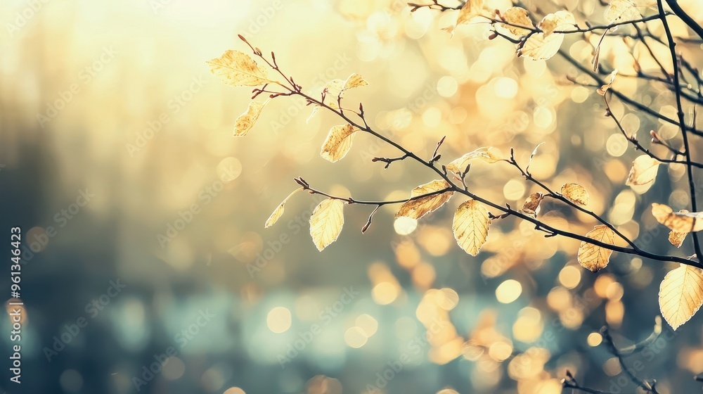 Poster autumn leaves on branch with bokeh background