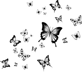 butterfly vector, monarch butterfly vector, butterfly vector art, butterfly vector png, simple butterfly vector