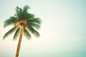 Tropical coconut palm tree illuminated by string lights at dusk Christmas, New Year
