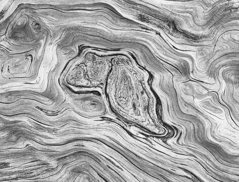 Macro image of coastal driftwood textures, Washington