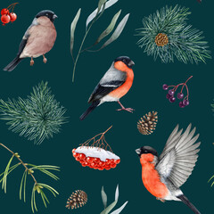 Bullfinch birds with natural forest elements seamless pattern. Watercolor illustration. Male, female bullfinches, rowanberry, conifer tree branch design elements on dark background for printing.