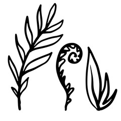 black and white line drawing of botanical elements, including pointed leaves, a spiral shape, and a simplified leaf design. graphic and decorative style for poster, card, banner, book design