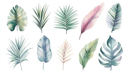 Stunning Watercolor Collection of Tropical Leaves for Home Decor Inspiration