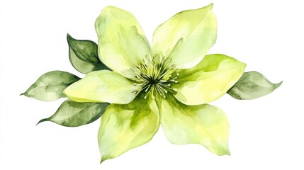 Obraz premium Delicate Yellow Flower in Watercolor: A Botanical Masterpiece Capturing Nature's Elegance