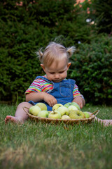 little girl with apples in the garden.