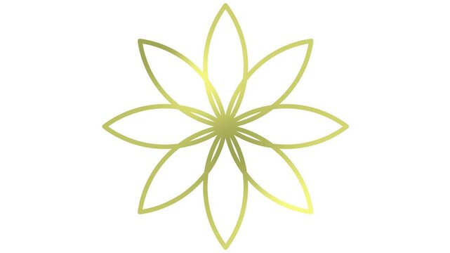 Animated golden linear flower is drawn gradually. Line symbol of lotus blossom. Concept of spring, yoga, meditation, nature, summer, beauty, gardening. Looped video. Vector illustration isolated on wh