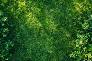 Aerial View of Empty Green Grass Field Background