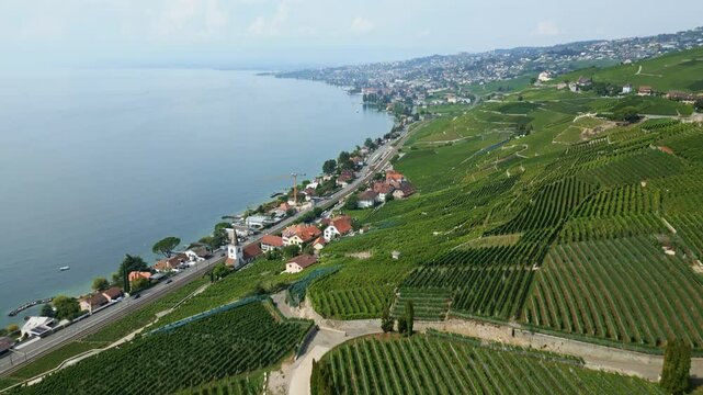 Drone reveal shot of Lavaux vineyards and the Lake of Geneva in Switzerland.