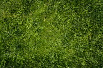 Aerial View of Empty Green Grass Field Background