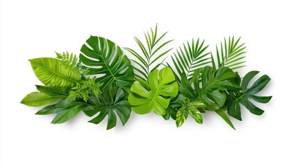 Exotic Tropical Foliage Wall Art - Vibrant Green Leaves Decor on Clean White Background