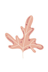 Obraz premium Leaf autumn plant natural seasons pastel illustration drawing painting