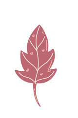 Leaf autumn plant natural seasons pastel illustration drawing painting