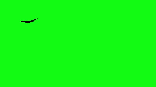 Flitter-mouse Silhouette fly on green screen animation, Halloween element