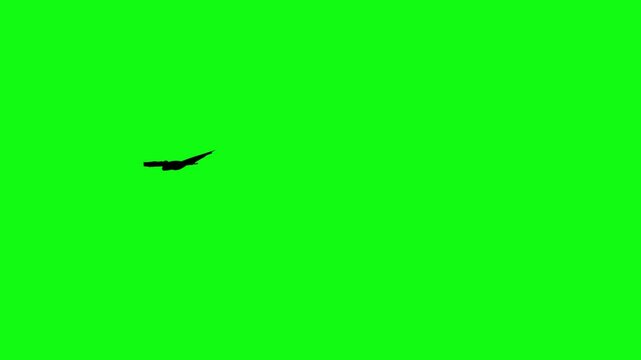 Flitter-mouse Silhouette fly on green screen animation, Halloween element