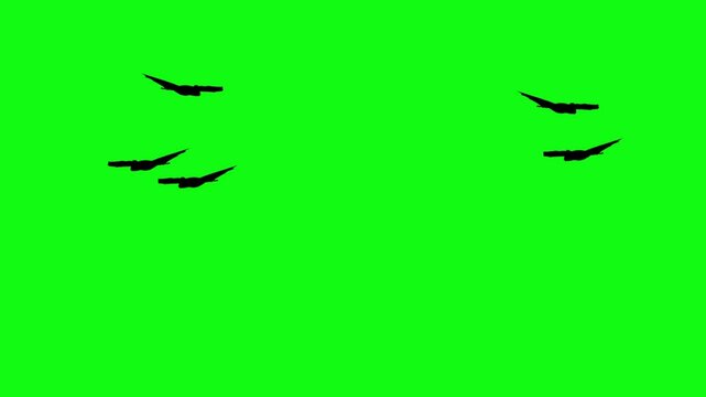 Flitter-mouse Silhouette fly on green screen animation, Halloween element