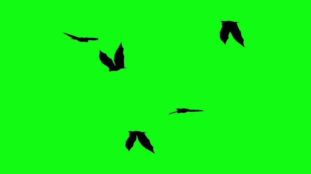 Flitter-mouse Silhouette fly on green screen animation, Halloween element
